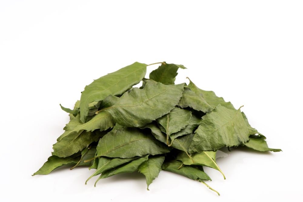 Dried Neem tree leaves